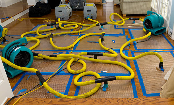 Professional Water Damage Repair technician working in Salem, IL